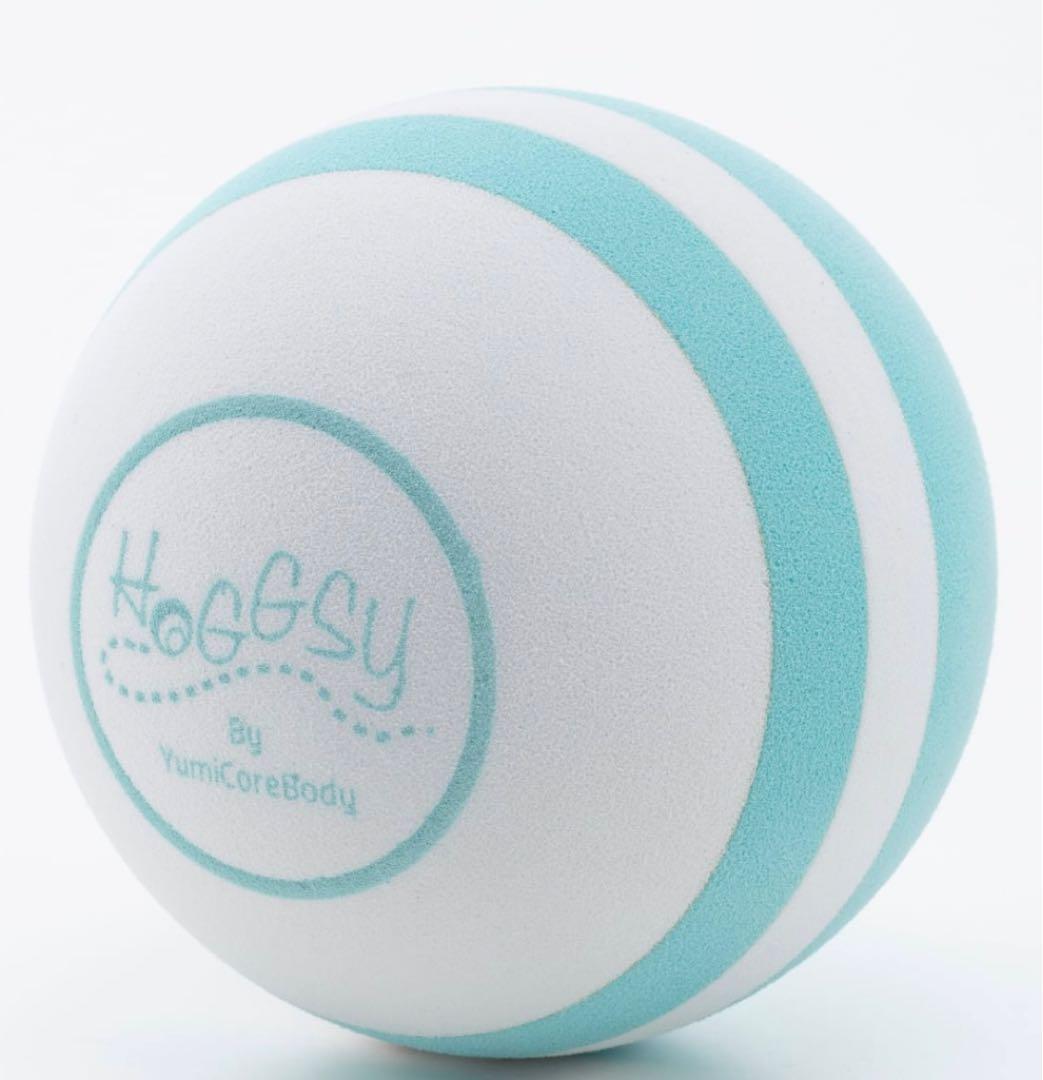 HOGGSY エクササイズボール YumiCoreBody Amazon | Hogssy ホグッシー(ネイビー)【Yumicoプロデュース】筋膜