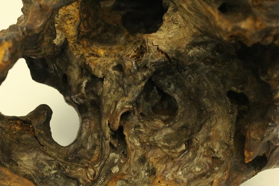 自然木 根木 奇木 置物(A917) - メルカリ