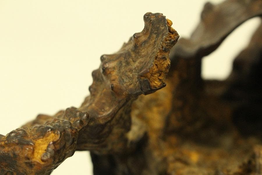 自然木 根木 奇木 置物(A917) - メルカリ