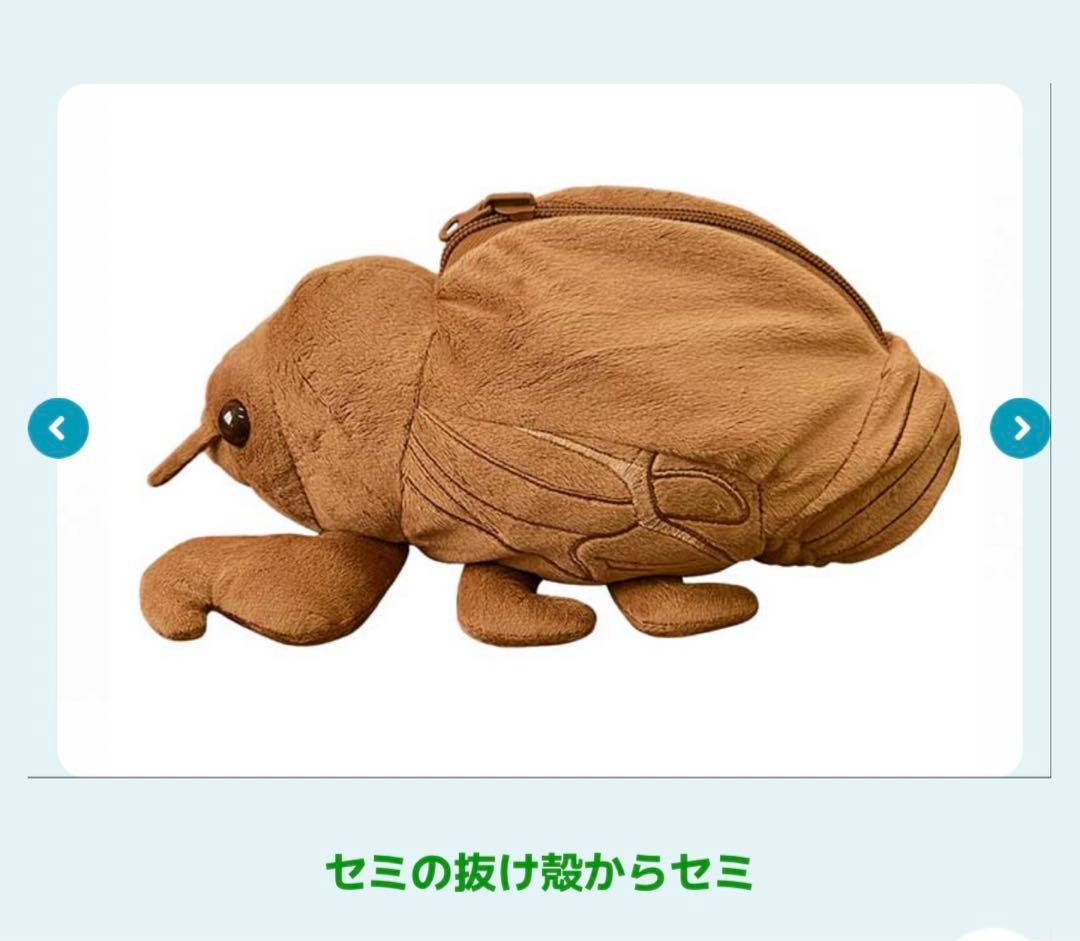昆虫MANIAC マニアック セミの抜け殻からセミ ぬいぐるみ 科学博物館