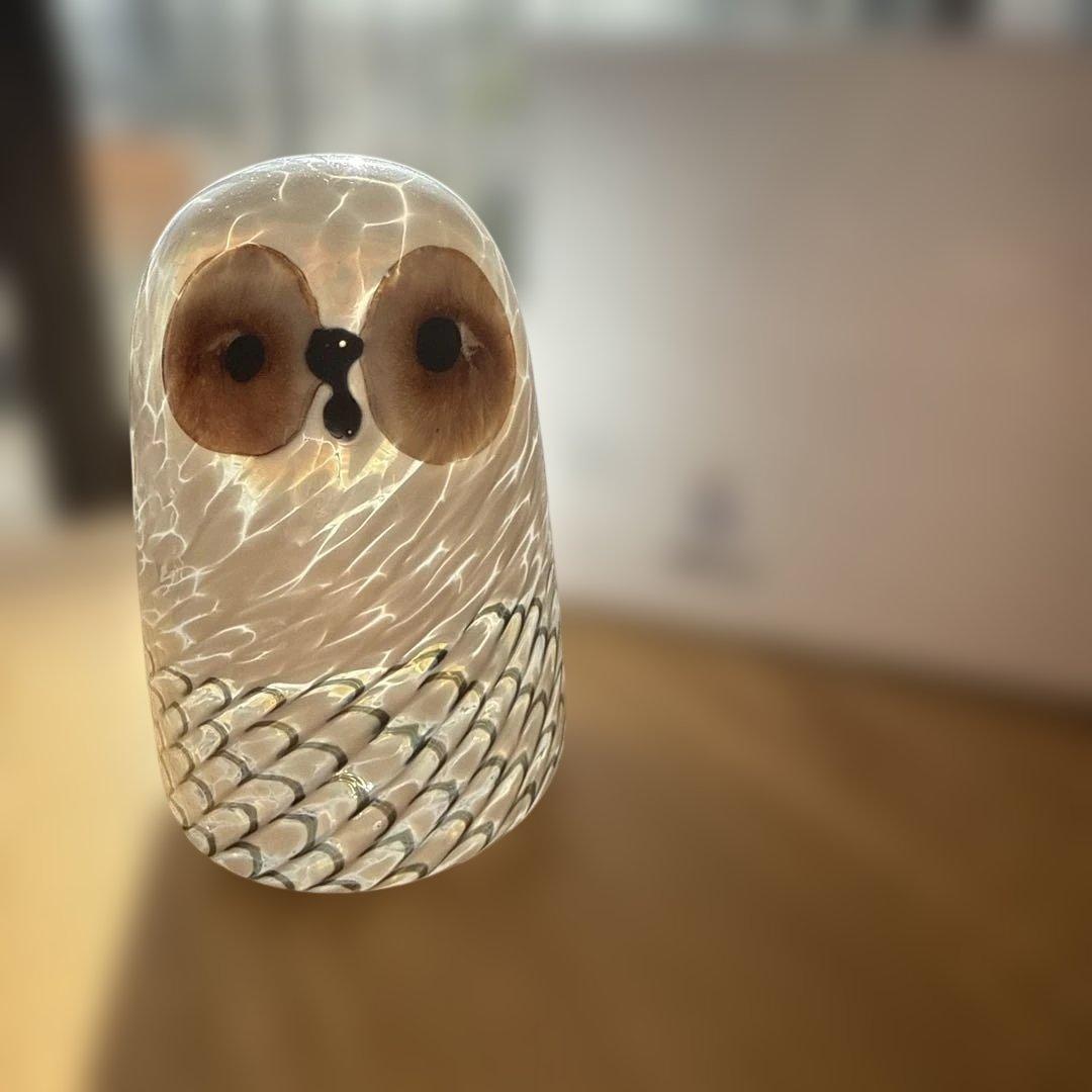  lumi ルミ　バード　owl フクロウ ウスイロモリフクロウ - eBird