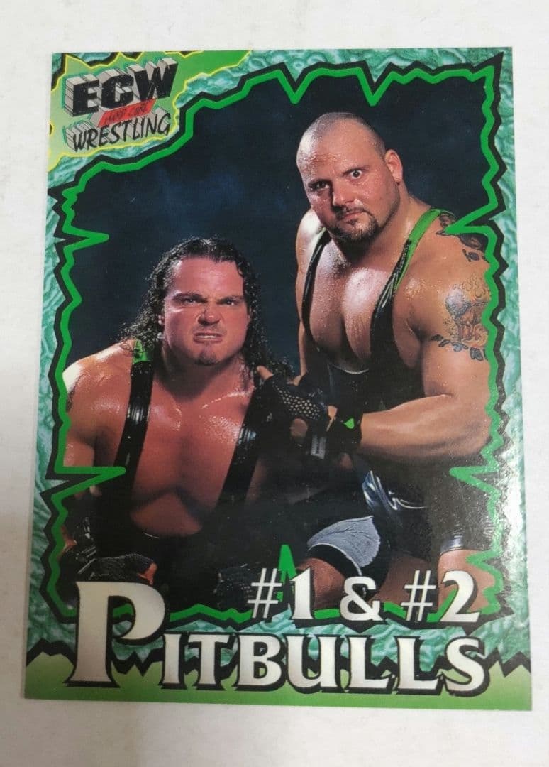 ECWプロレスカード ピットブルズ　BBM