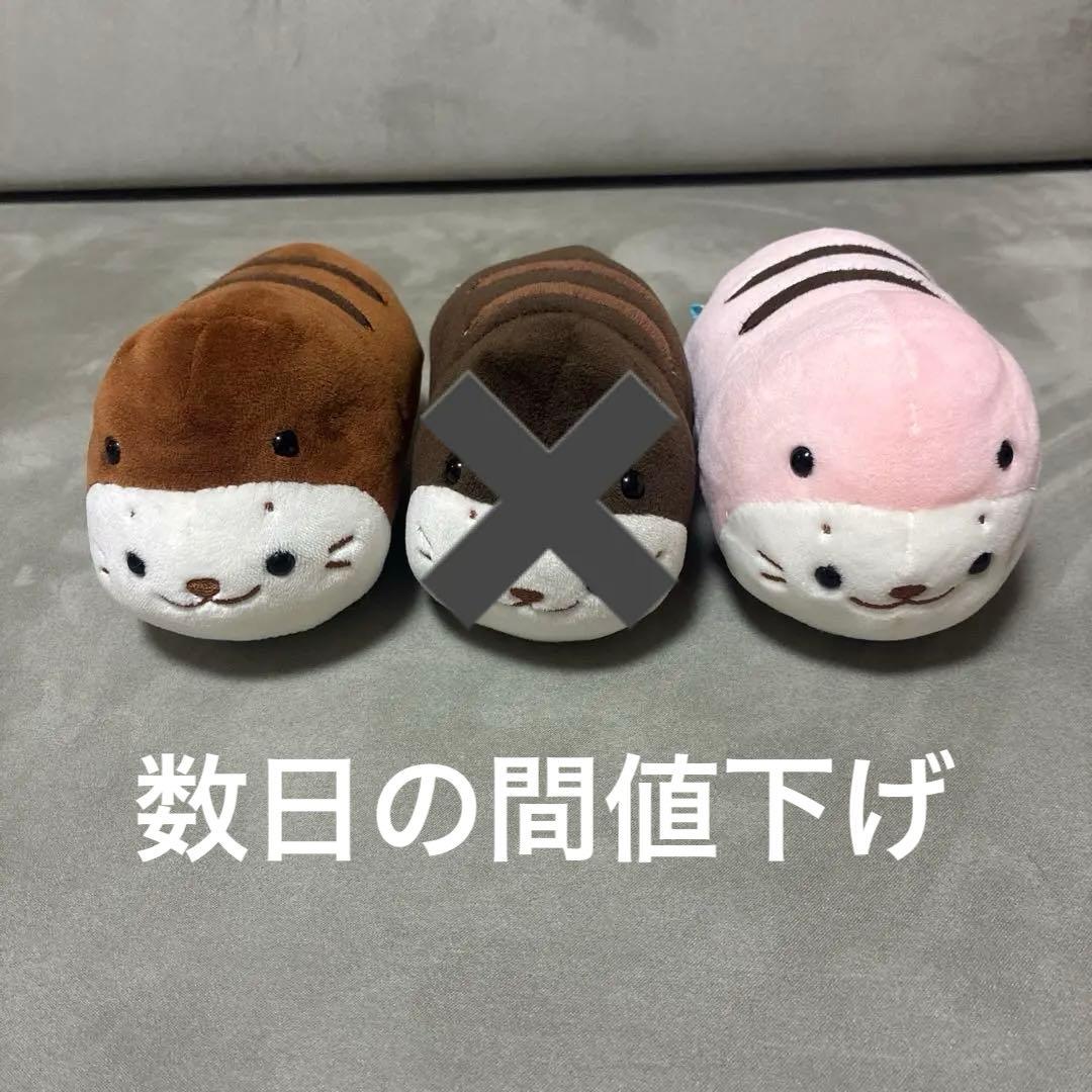 つちのこたん しろたん チョコ 限定 ピンク ミルク - メルカリ