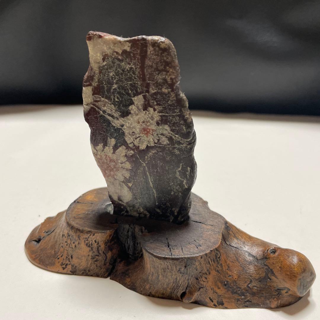 石 花柄 置物 菊花石 観賞石 - メルカリ