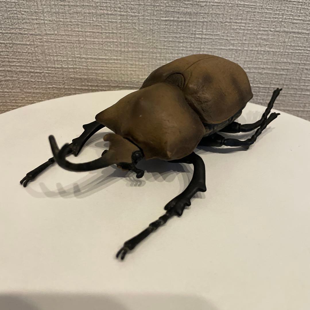 エレファスゾウカブト‪ フィギュア 昆虫標本 約16cm、105g - メルカリ‬