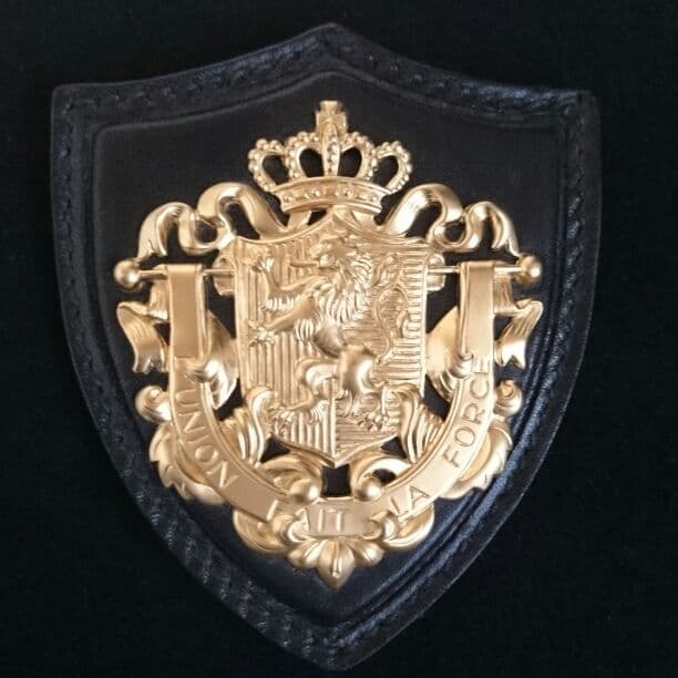 miu miu ブローチ MIU MIU】エナメルメタル ロゴ ブローチ (MiuMiu/ブローチ・コサージュ