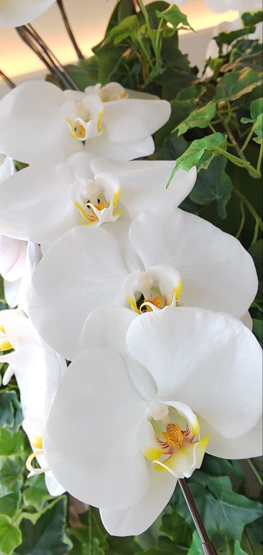 専用になります。