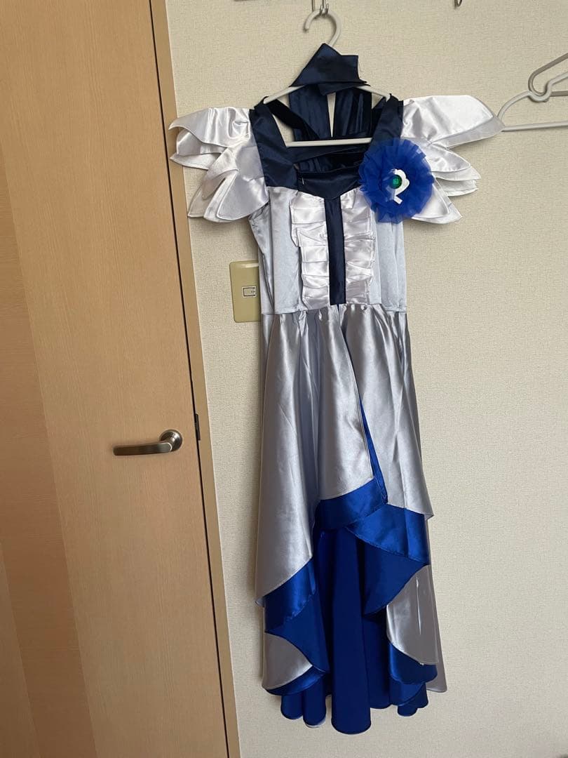 ハートキャッチプリキュア! キュアムーンライト　Lサイズウィッグ付