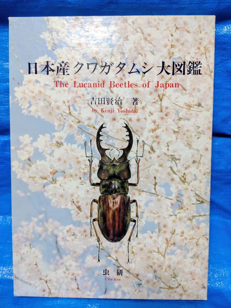 日本産クワガタムシ大図鑑　吉田賢治著　虫研