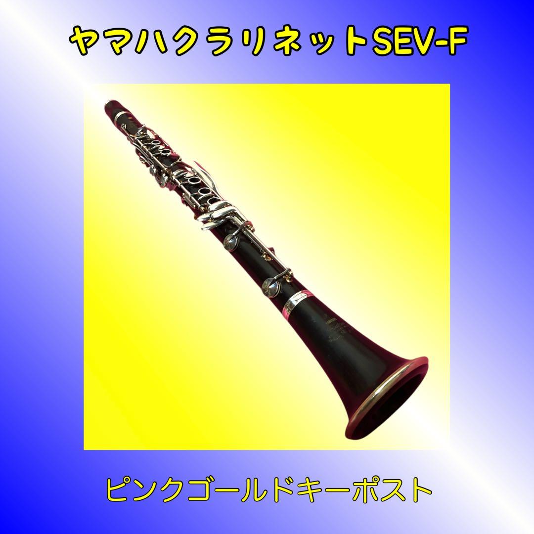 ヤマハ クラリネット SEV-Fモデル　藤井一男氏選定品 YAMAHA（ヤマハ） B♭Clarinet YCL-SEV Master【藤井一男氏選定品