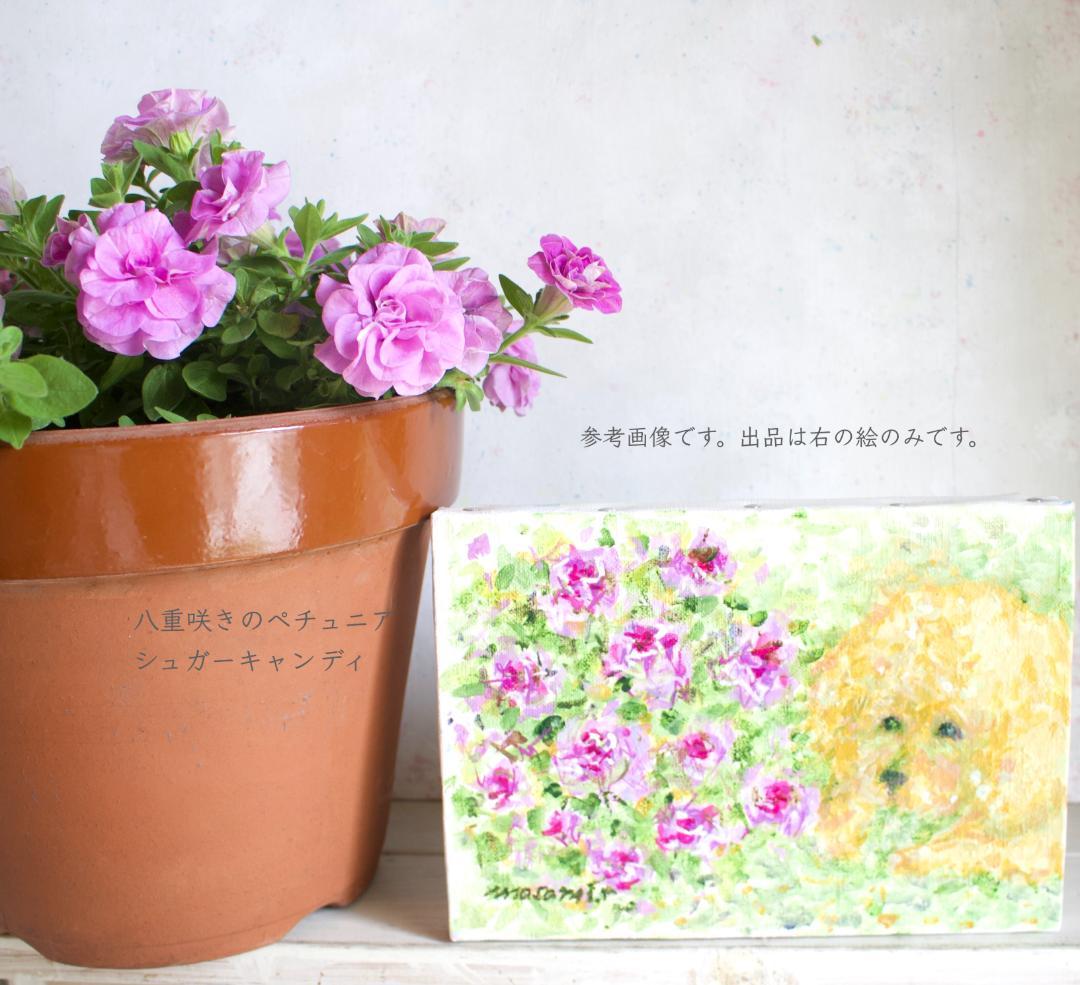 ペチュニアとトイプードル」 アクリル画 SM キャンバス 原画 額なし