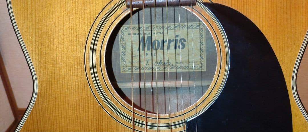 Morris モーリス アコギ F12
