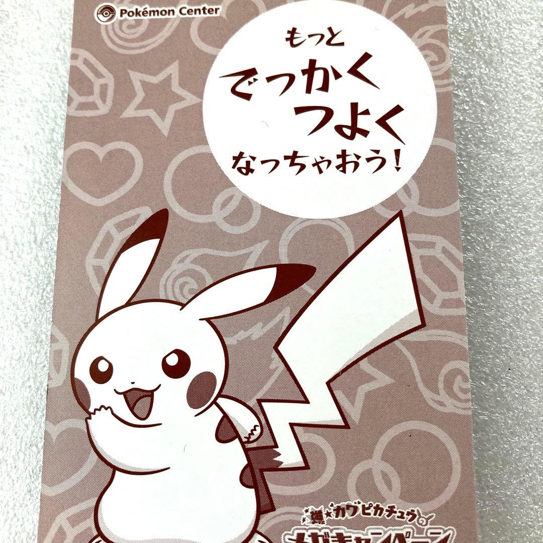 ポケモンセンター ポンチョを着たピカチュウ 名刺カード メガ