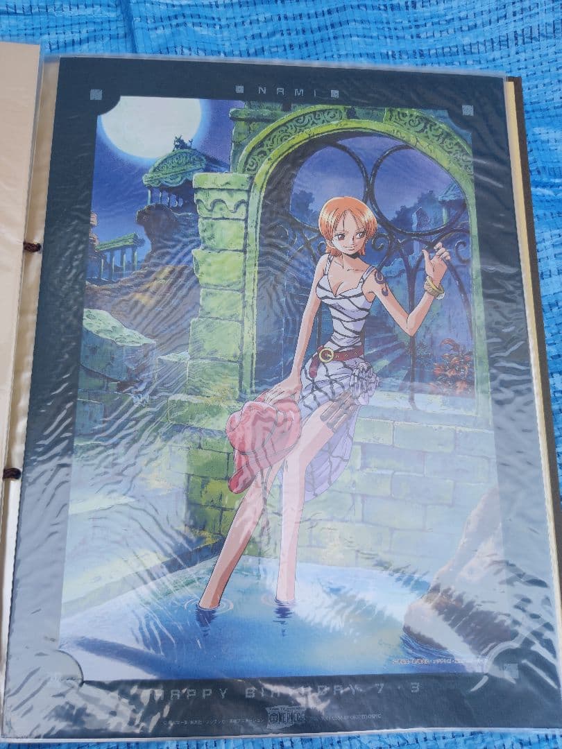 ONEPICE ワンピース ナミ ポートレート BIRTHDAY 誕生日