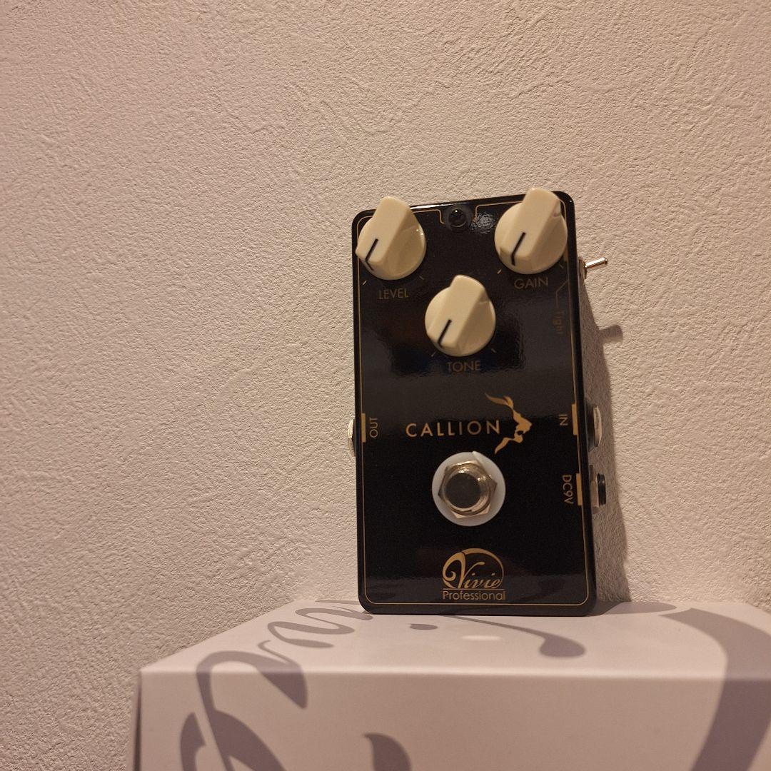 ギター Vivie/CALLION