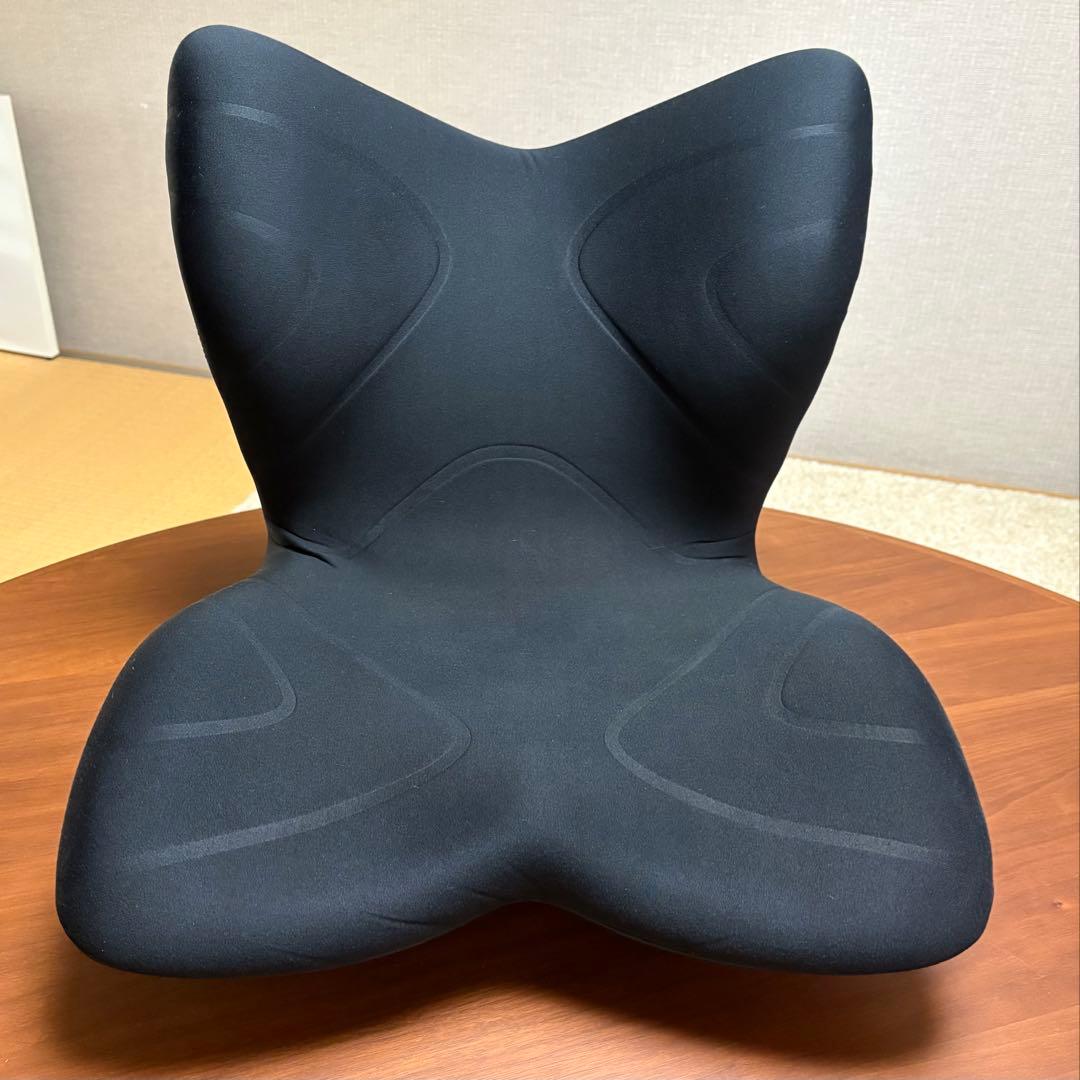 スタイルプレミアム MTG 骨盤矯正クッション 姿勢改善