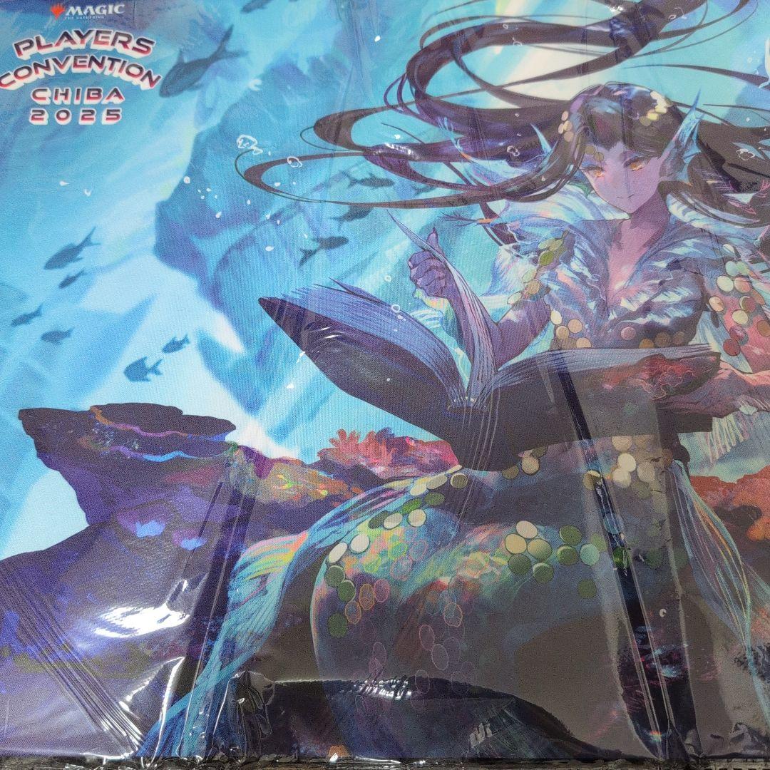 リスティックの研究　アニメ・ボーダーレス版(藤ちょこさん）プレマ