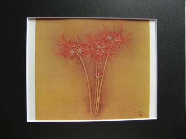 大野　俶嵩、彼岸花、希少な画集より、新品高級額装付、版上サイン入り、状態良好