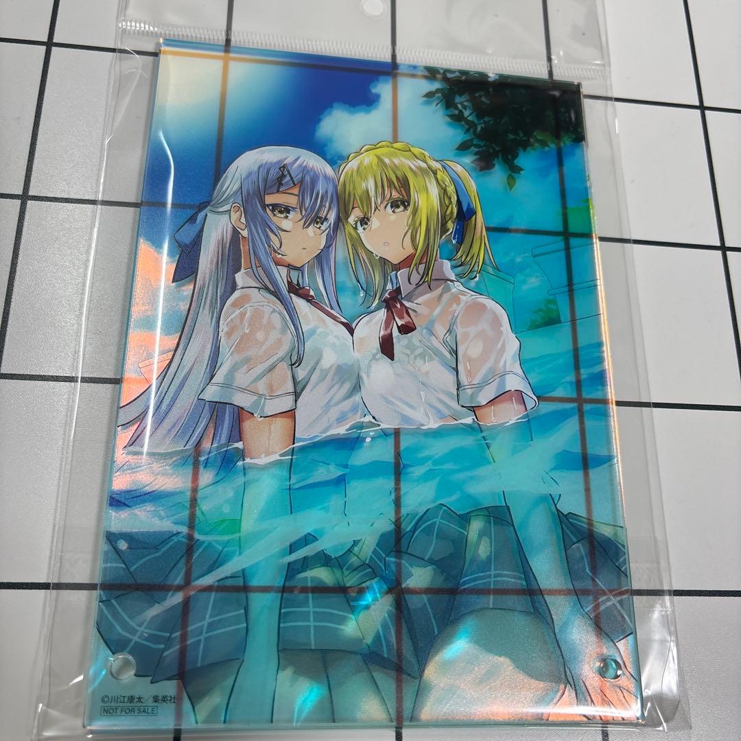 鵺の陰陽師 オーロラアクリルボード