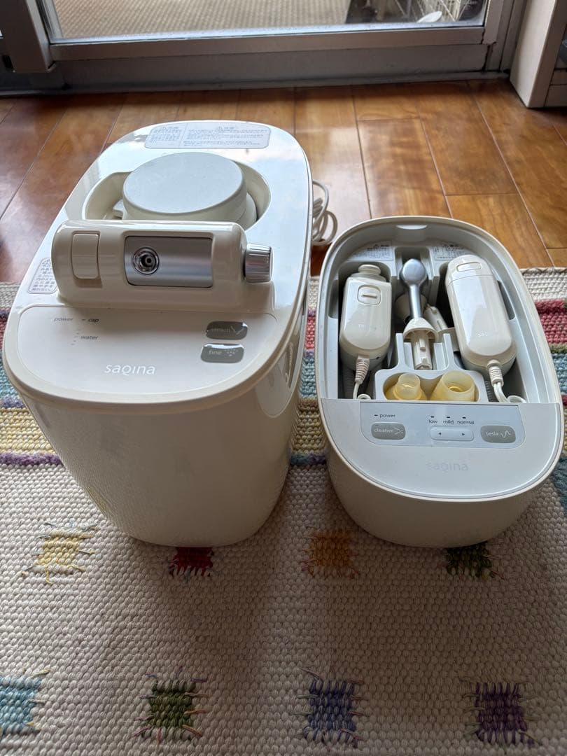 サキナピノsaqinapinoスチーマー クリーナー テスラー