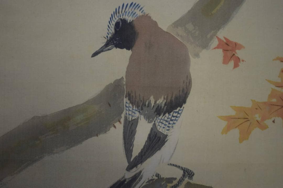 真作/寺崎広業/小禽紅葉図/絹表装/桐共箱付/布袋屋掛軸HJ-74