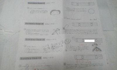 サピックス・SS特訓＊6年＊算数／難関校対策プリント＊ 全15回