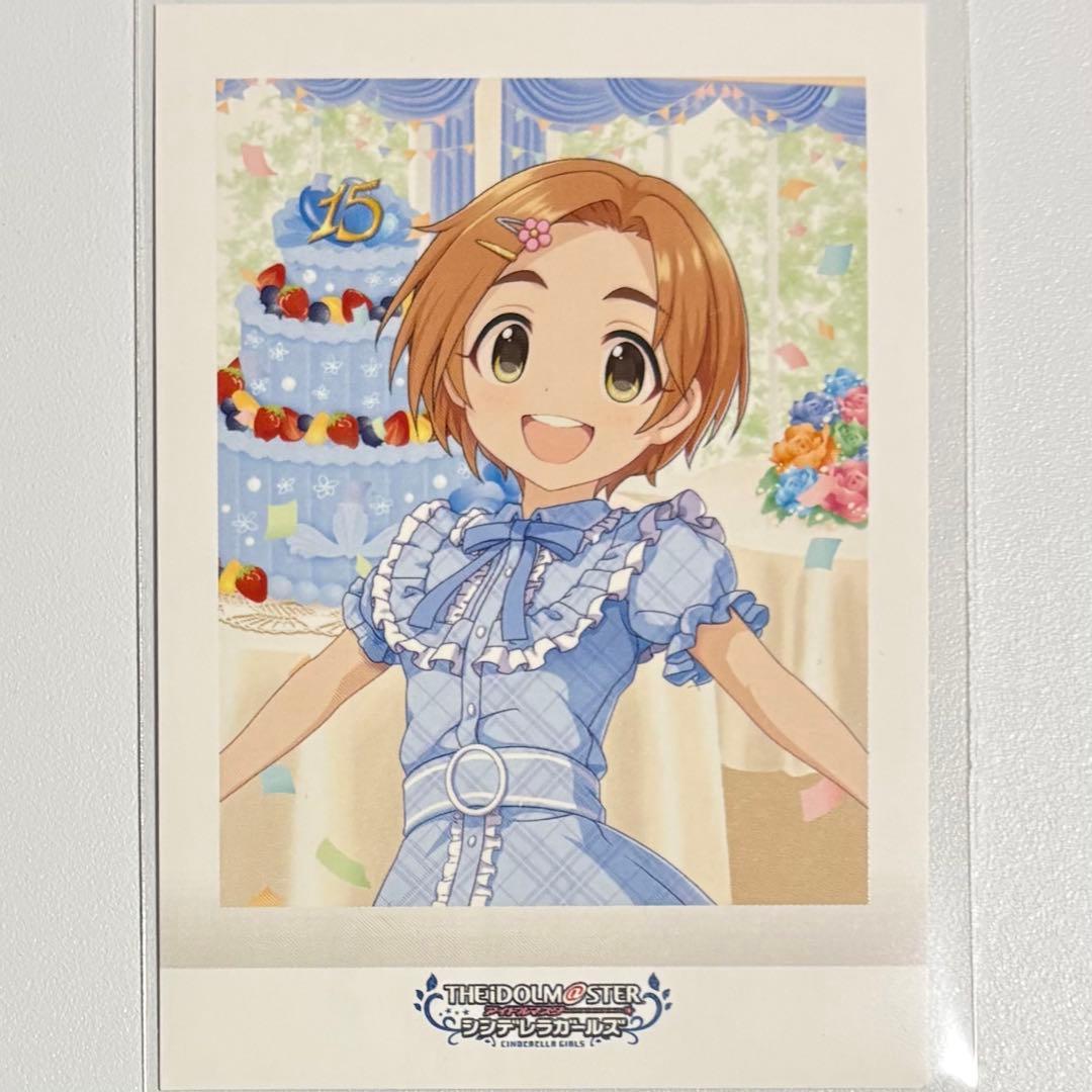 ころり様 リクエスト 2点 まとめ商品 - メルカリ