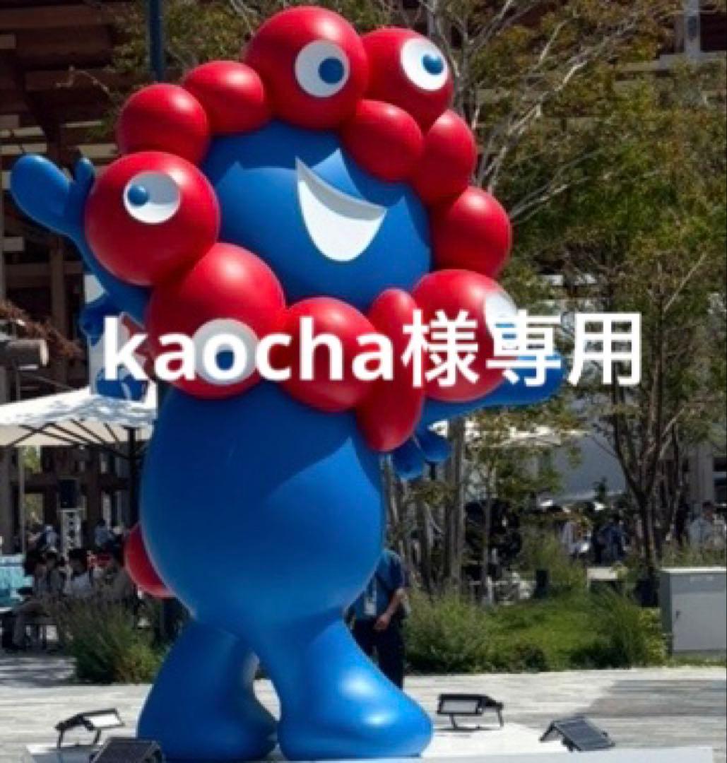 バッグ kaocha