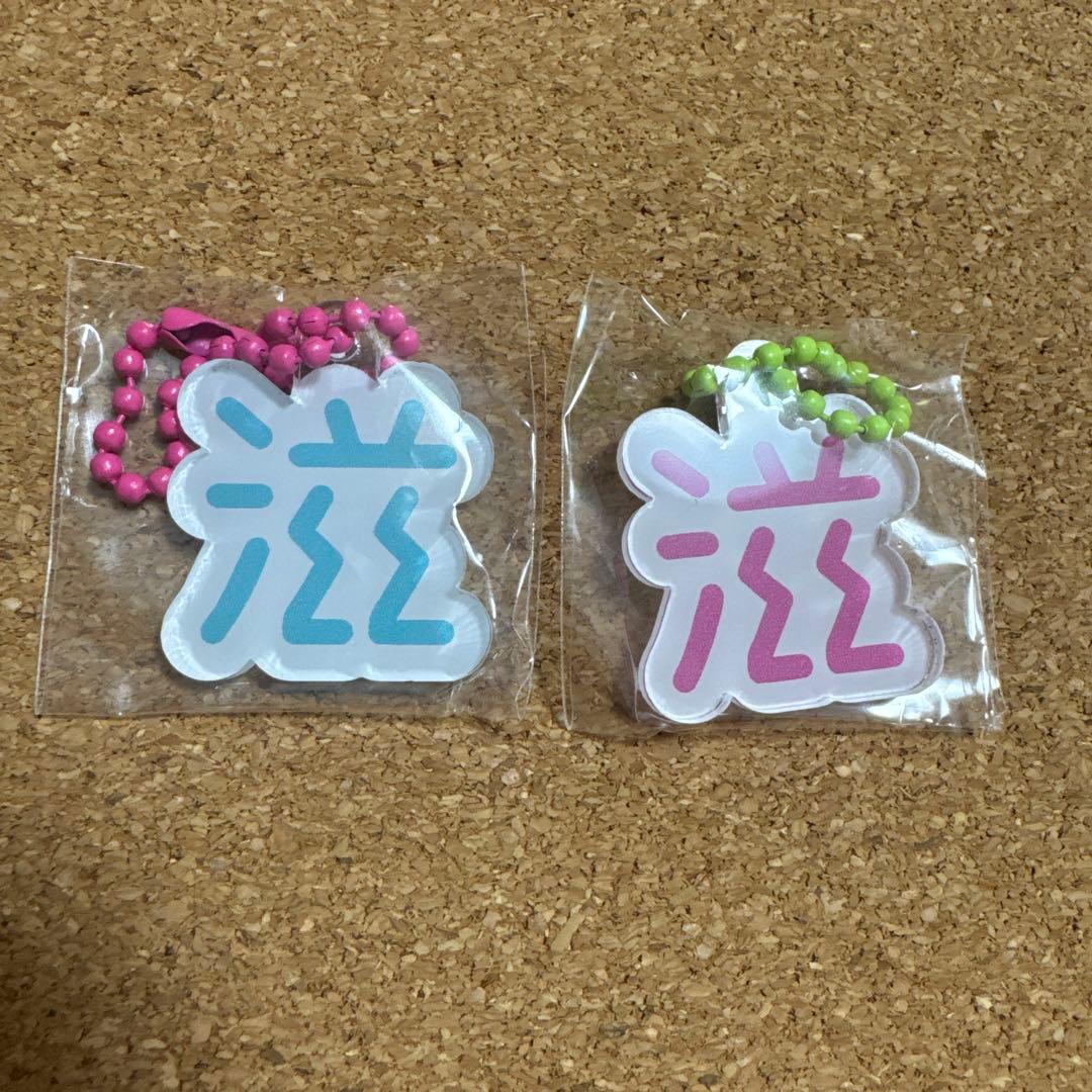 ゲジナンキーホルダー　2個セット