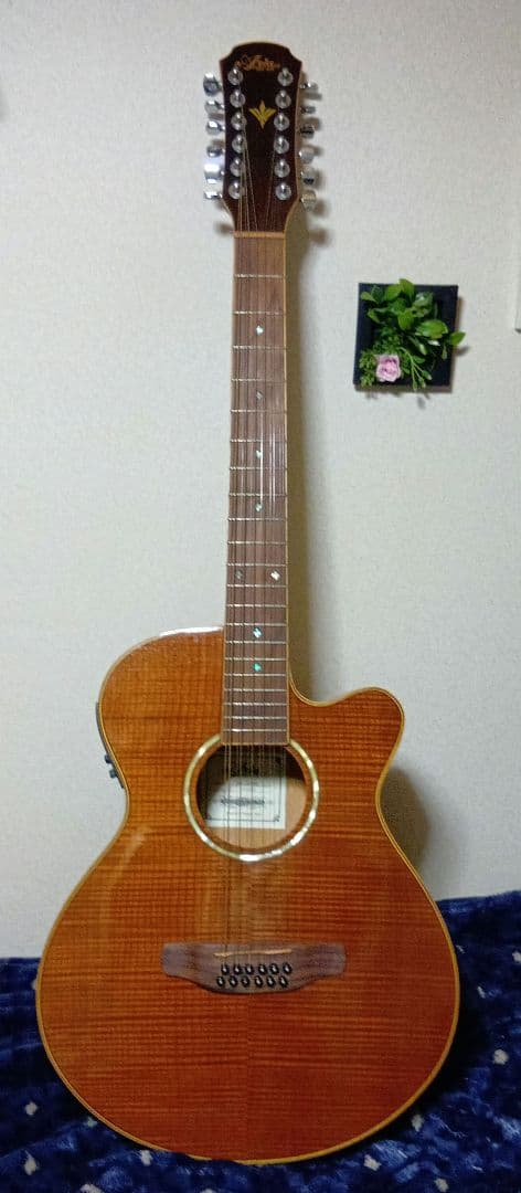 アリア12弦FET−12SPLエレアコステックギター ARIA FET-12 アリアのお手頃価格 12弦エレアコです！ - YouTube