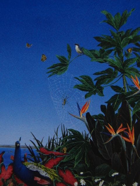 北　久美子【夢想植物園・・・・・・Y】、希少画集画、状態良好