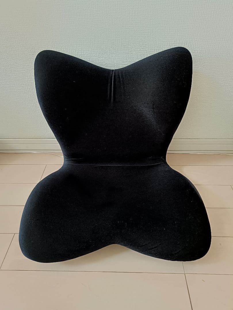 矯正用品・補助ベルト Style PREMIUM DX