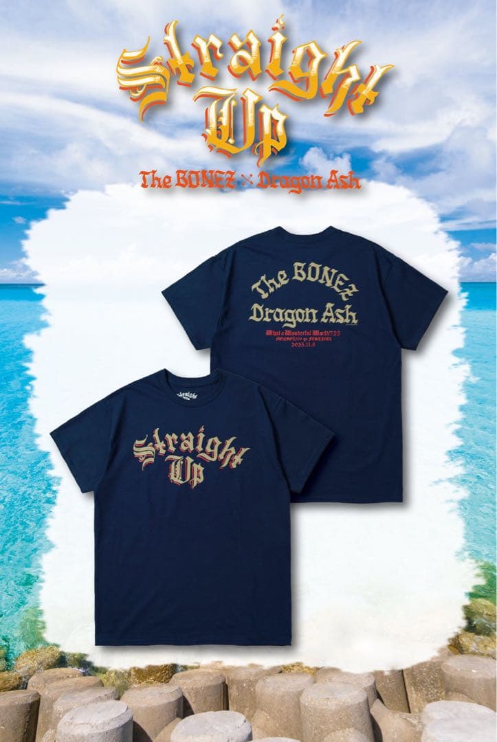 Straight Up 沖縄限定 Tシャツ ネイビー L