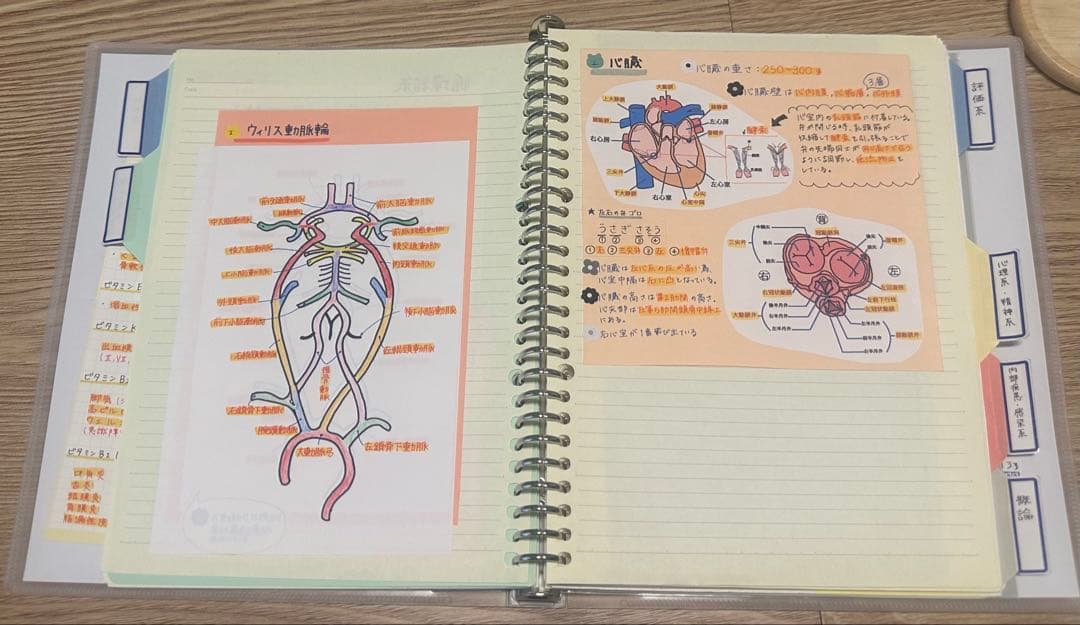 理学療法士 作業療法士 まとめノート、ふせんノート 【コピー】 - メルカリ