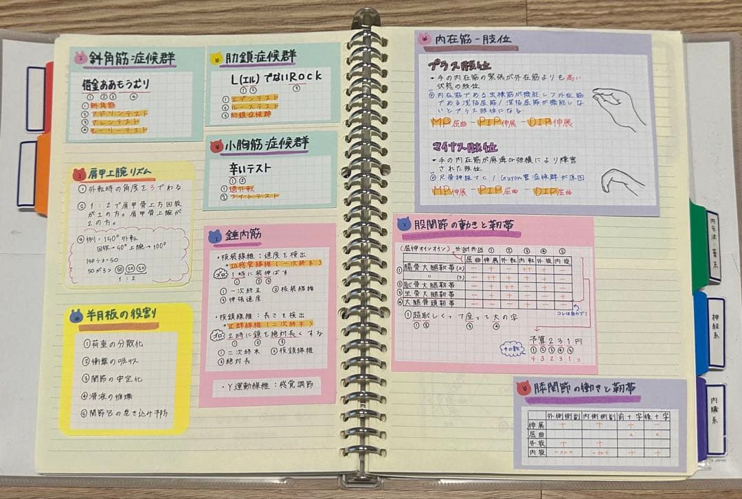 理学療法士 作業療法士 まとめノート、ふせんノート 【コピー】 - メルカリ