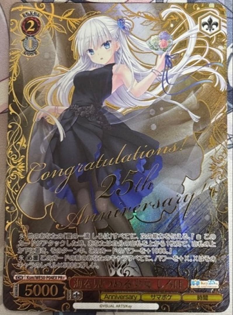 ヴァイスシュヴァルツ 海を見つめる少女 しろは pr+