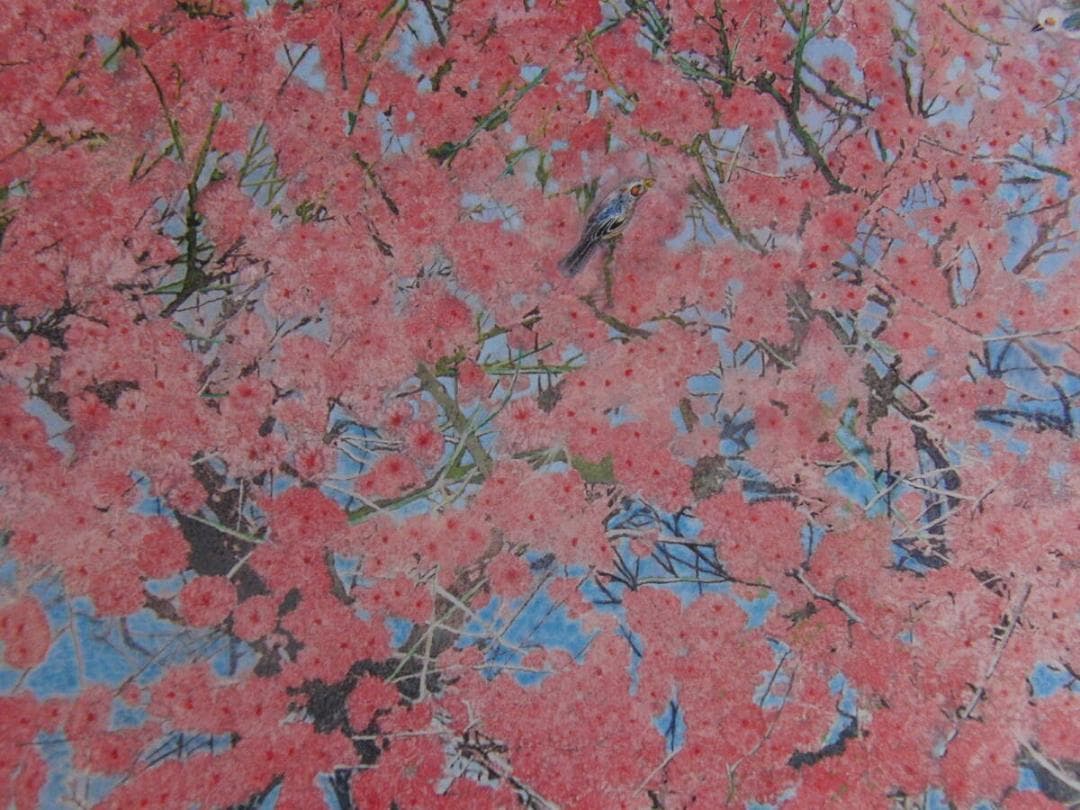 小谷津雅美、「花遊悠」、希少画集・額装画、日本製・新品額縁にて額装致します 小谷津雅美の値段と価格推移は？｜3件の売買データから小谷津雅美の