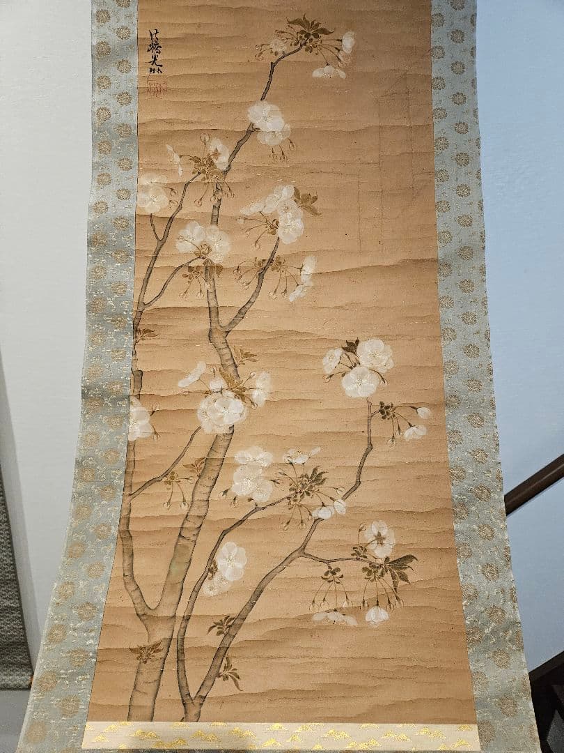 尾形光琳『櫻花図』琳派の祖　菱田春草 鑑定印　法橋光琳　掛軸　江戸時代