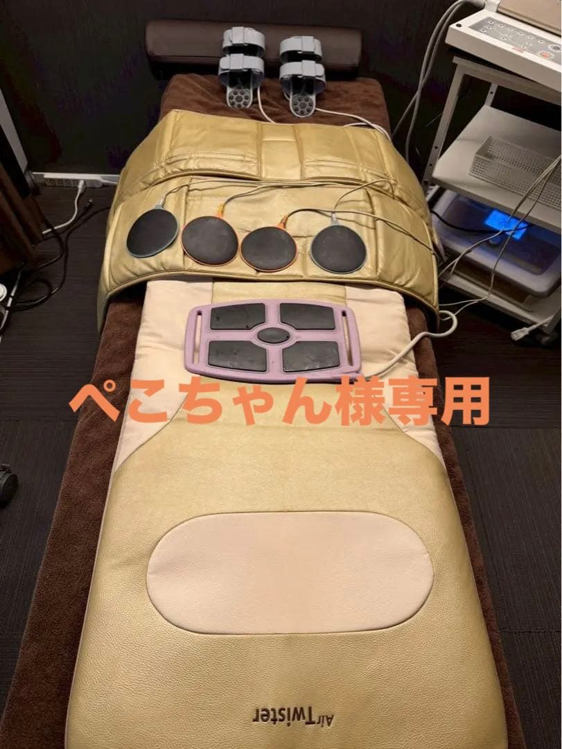 エアープロフェッサートリプルシステム AIR PROFESSOR TRIPLE SYSTEM エアープロフェッサートリプルシステム