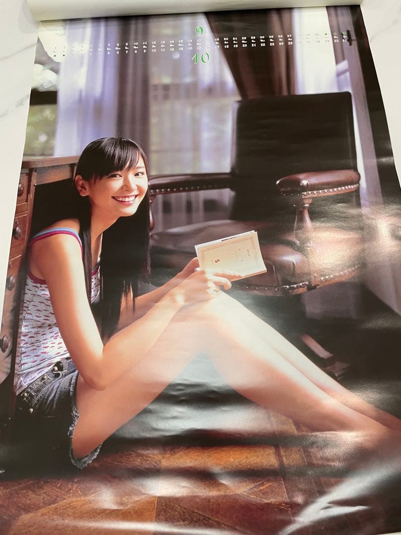 新垣結衣 2008年度 カレンダー ポッキー販促品 江崎グリコ 激レア