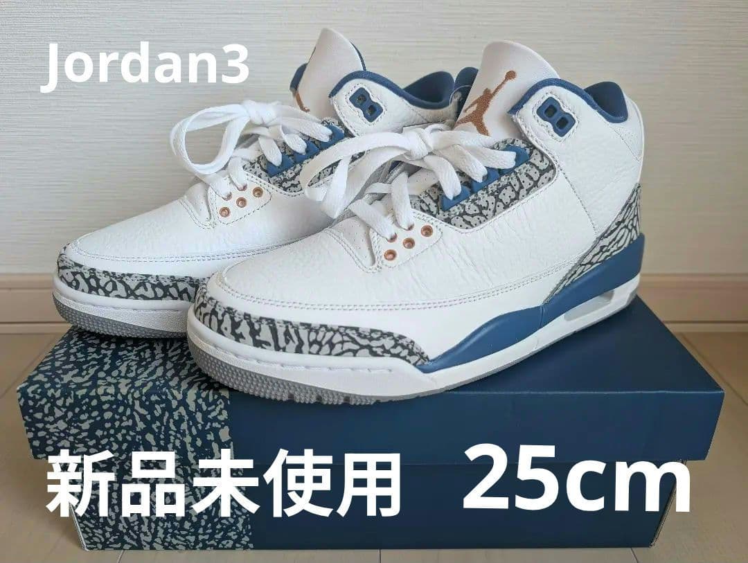 本日限り！新品未使用Air Jordan 3 ウィザーズ　25cm Air Jordan 3 Retro x Doernbecher XIX 'Navy Green' FZ3030-919