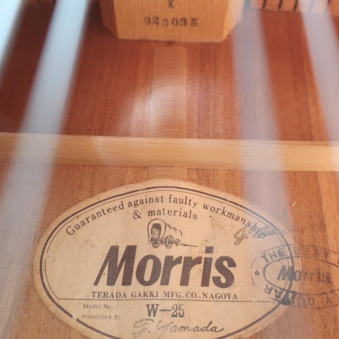Morris W-25 アコースティックギター 装飾バインディング 寺田楽器製造