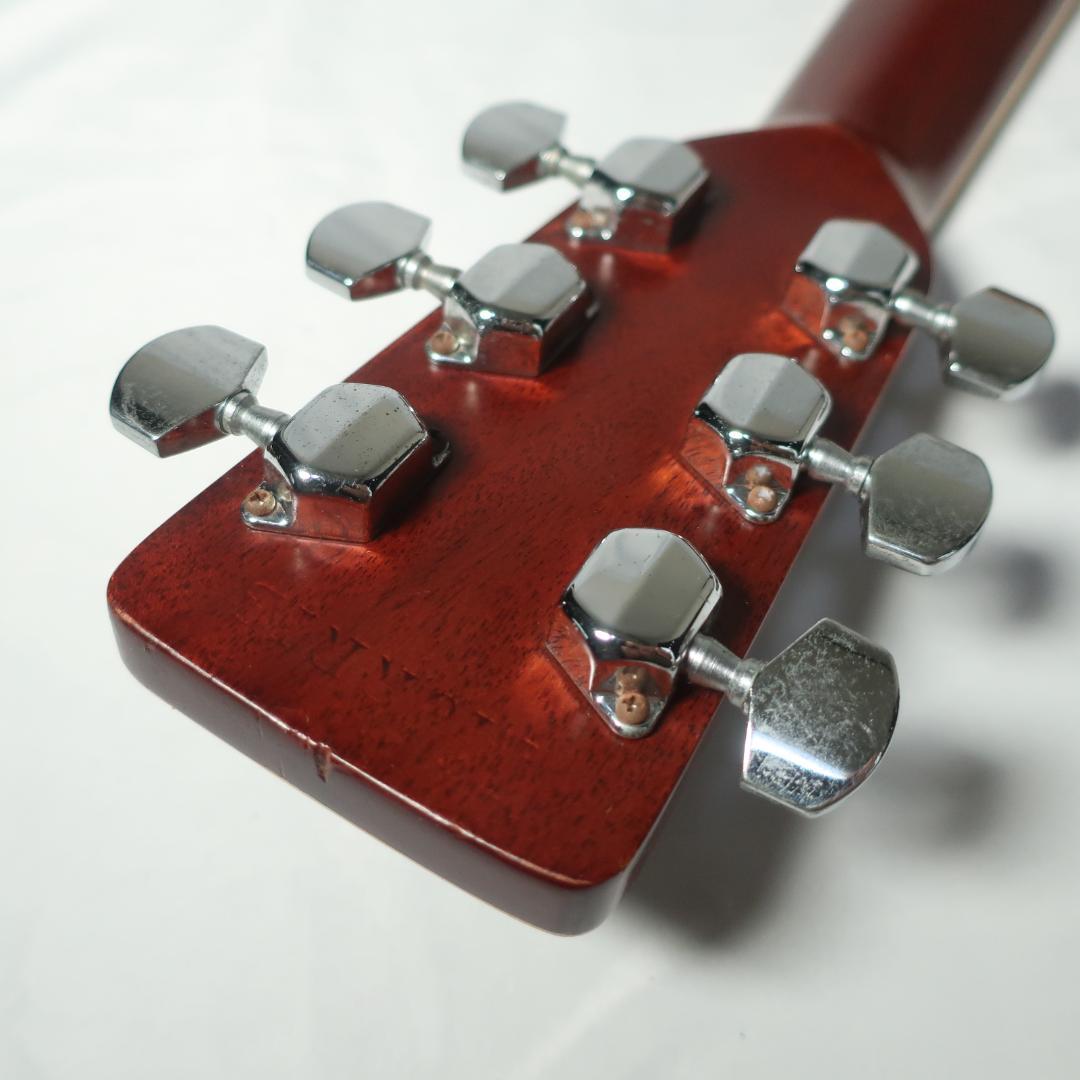 Morris W-25 アコースティックギター 装飾バインディング 寺田楽器製造