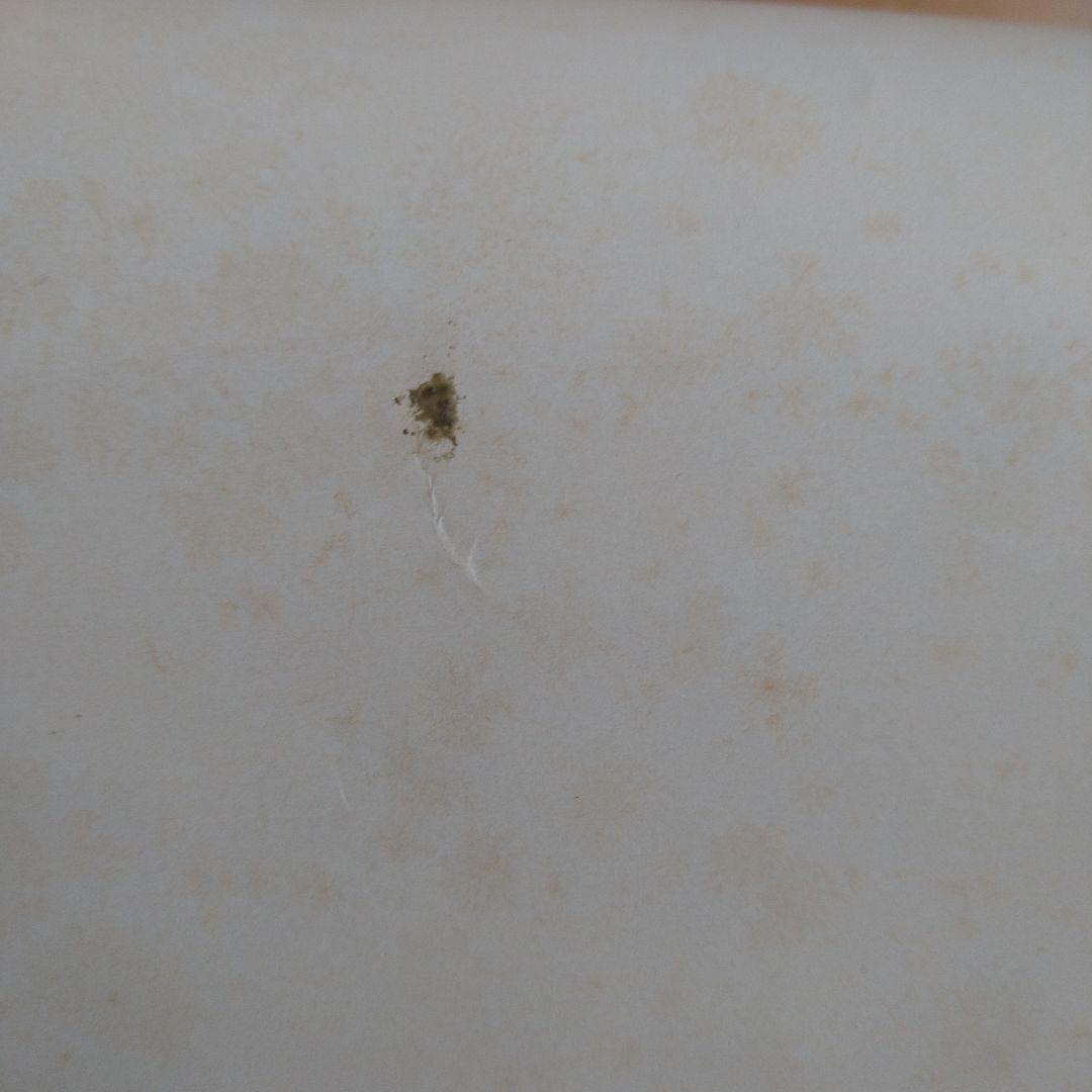 ウイルソンブラザーズ アナザーナイト（WilsonBros.） ポスター - メルカリ