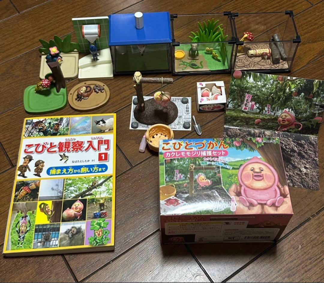 説明必読 こびと図鑑 こびとづかんランド 飼育セット カクレモモジリ