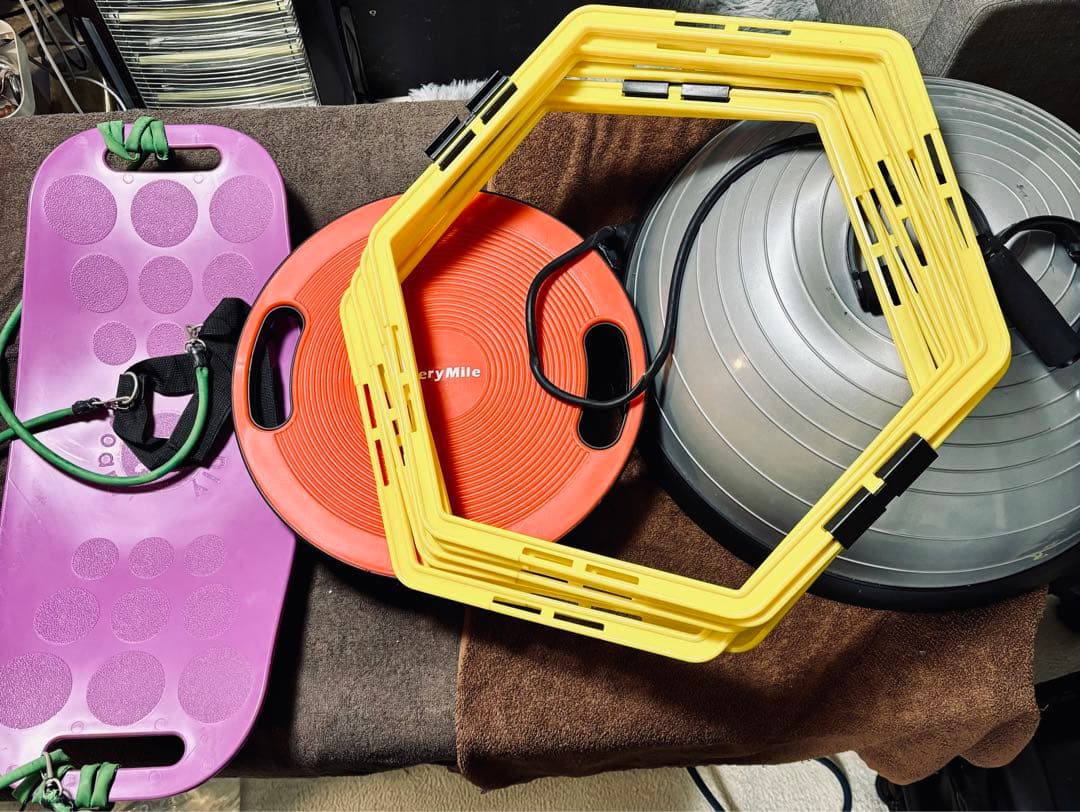 EveryMile バランスボードとエクササイズボールセット体幹トレ必須アイテム