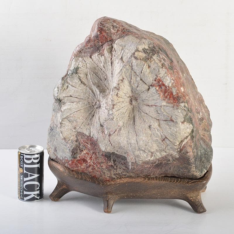 天然石　鑑賞石　菊花石　置物　重さ約24.8kg　唐木台付　F　R6820F
