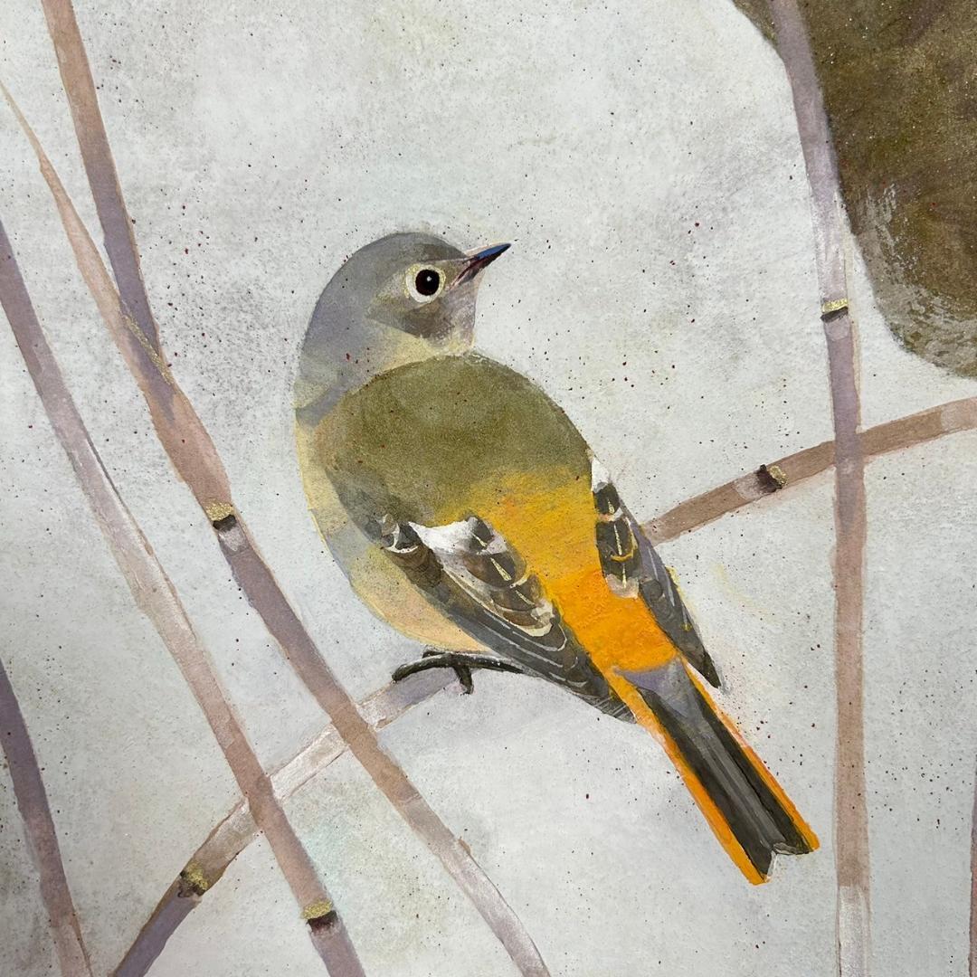 美品 平尾秀明「早春」日本画 肉筆画 共シール有 ジョウビタキ 花鳥 日展