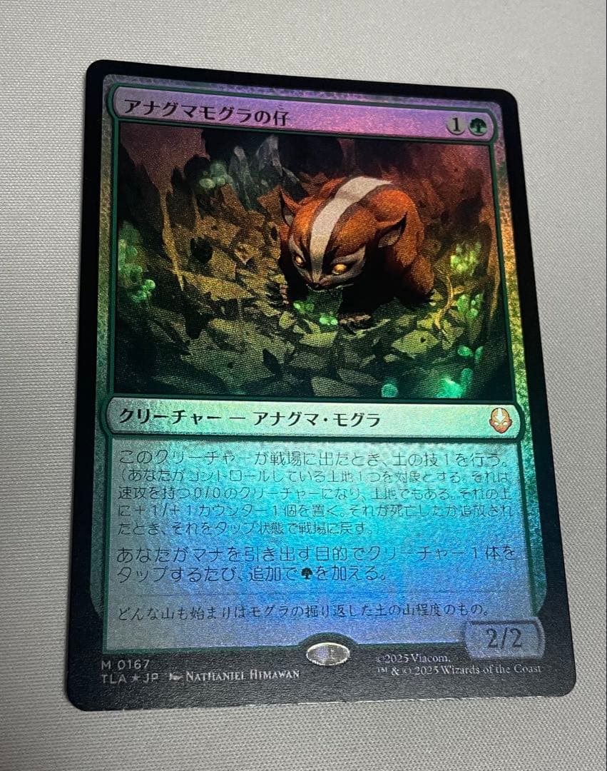 アナグマモグラの仔 日本語通常foil フルアート)アナグマモグラの仔/Badgermole Cub《日本語》【TLA】