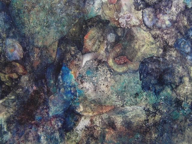 レオノール・フィニ「蔓穂蘭」、希少画集より、状態良好 - メルカリ